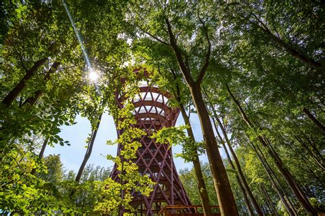 copenhagen forests